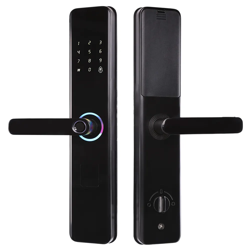smart Home Electronic anti-theft door Biometrics Password rfid rfid fingerprint Door Lock