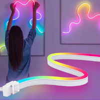 Nouveaux Rubans LED Néon Intelligents DIY 5M RGB pour Éclairage Paysager