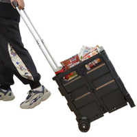 Chariot de courses pliable léger en plastique avec poignée télescopique, chariot de rangement portable et pliable