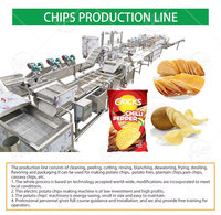 Semi-Automatische Industriële Verwerkingsfabriek Prijs Chips Productielijn Bevroren Aardappelchips Maken Machine