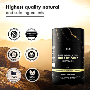 OEM/ODM Shilajit Gummies Pure Himalayan Vitamins With <strong>Lions</strong> Mane and L-theanine Super Nootropic Gummy Factory - Product Image 2