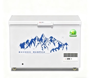 Thương mại công suất lớn ngang lạnh ống đồng Tủ đông OEM/danh tiếng tốt và cuộc sống làm việc lâu Ice Cream Freeze - Product Image 4