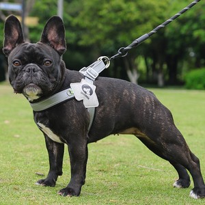 Tali leher anjing ringan <span class=keywords><strong>Bulldog</strong></span> Perancis, tali jalan luar ruangan anti tergelincir Untuk anak anjing berbentuk Y - Product Image 6