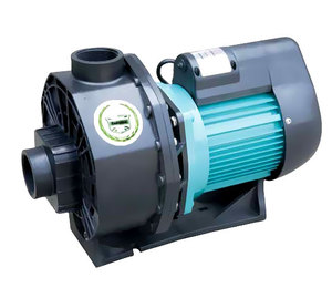 Pompe de circulation pour piscine 220V 1.5HP 2.5HP 3HP pour eau de piscine - Product Image 1
