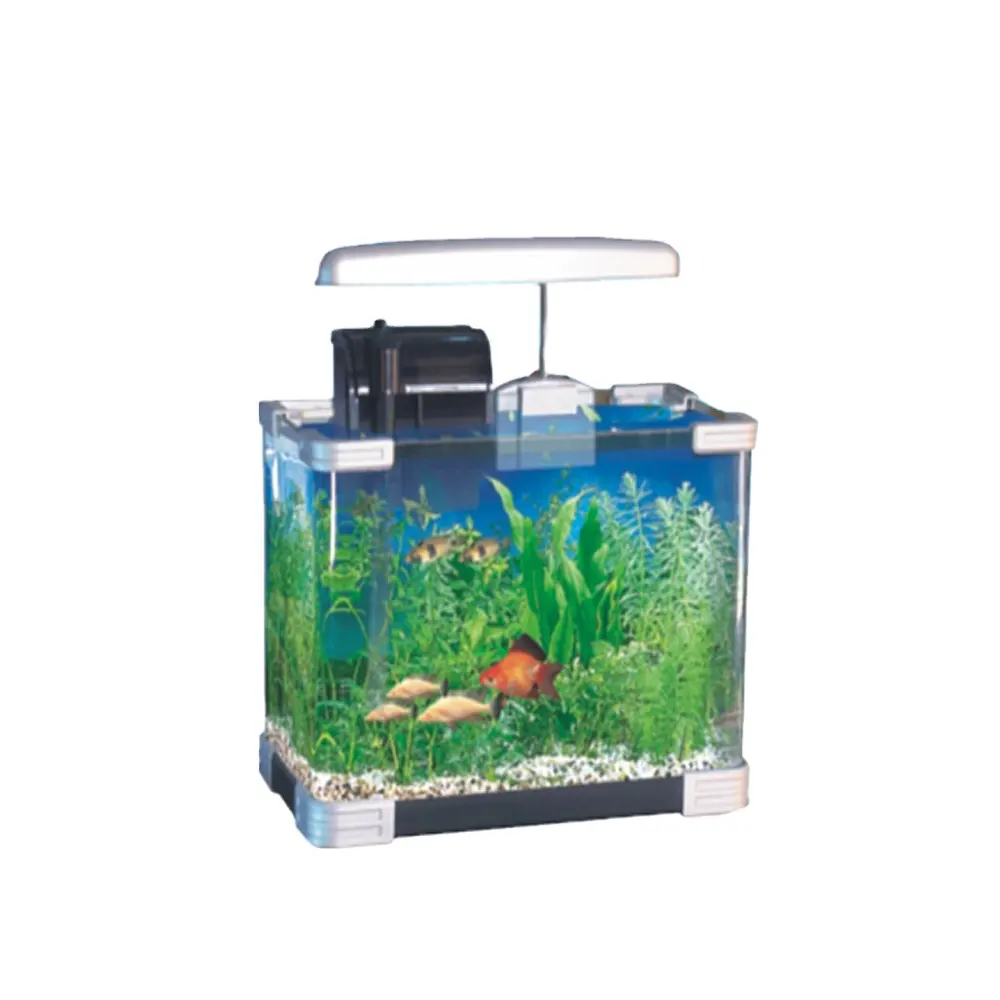 HRK-250 Square mini glass aquarium Multifunction ecological System desktop glass mini fish tank aquarium fish tank for sale