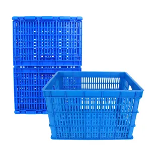 New Product Folding Tomato Storage Plastic Moving Collapsing Crate For Sale