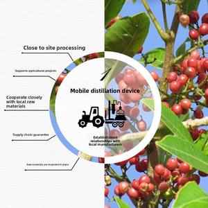 Suministro directo orgánico destilado <span class=keywords><strong>pimienta</strong></span> <span class=keywords><strong>rosa</strong></span> aceite esencial aromaterapia cuidado <span class=keywords><strong>de</strong></span> la piel materia prima Origen <span class=keywords><strong>de</strong></span> Nueva Zelanda - Product Image 5