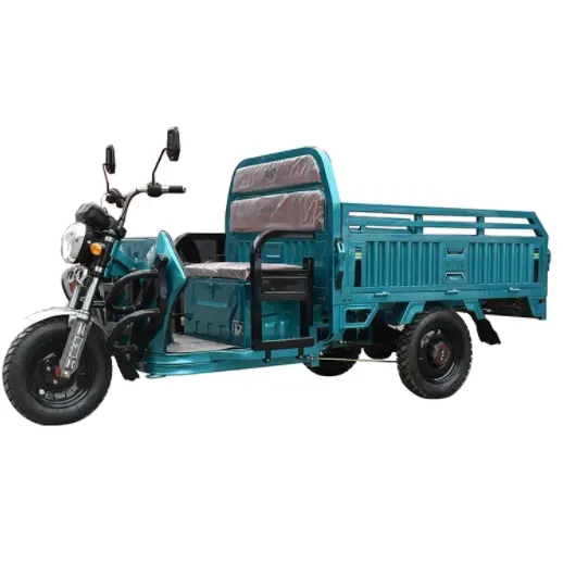 वयस्कों के लिए सस्ती कीमत 800w/1000w/1200w इलेक्ट्रिक ट्राइसाइकिल तीन पहिया कार्गो मोटरसाइकिल