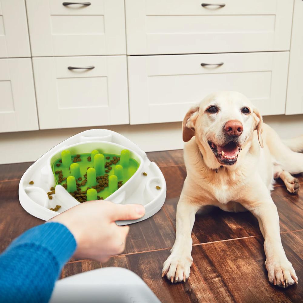 All-for-paws Slow Feeder Dog Bowl - Prevent Bloat & Puzzles