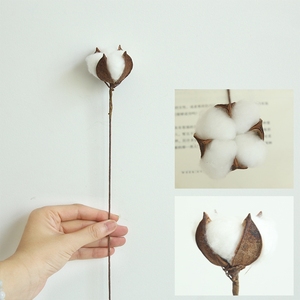 KEWEI 680 Golden Supplier Artificial Natural Dried Flower <strong>Cotton</strong> Dried <strong>Cotton</strong> <strong>Stems</strong> Natural Flower - Product Image 4