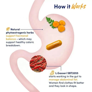 OEM/ODM Özel Etiketli Çok Satan Sindirim ve Hormonal Dengeyi Destekleyen Probiyotik Kapsüller - Product Image 2