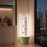 Système de culture hydroponique à 5 étages avec éclairage LED pour la culture verticale de légumes en intérieur