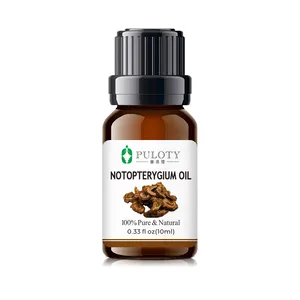 HAIRUI Supply Pure Notopterygium Essential Oil for Health Care Wholesale Notopterygium Oil