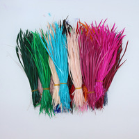 Plumes Naturelles pour la Fabrication de Mouches de Pêche en Gros, Plumes de Biot d'Oie Teintes en Vrac à Bas Prix de 10-20 cm pour la Décoration de Cheveux, Chapeaux et Chaussures