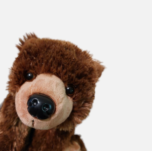 Orsacchiotto Grizzly Marrone Personalizzato, Giocattoli di Peluche Morbidi all'Ingrosso, Bestseller - Product Image 5
