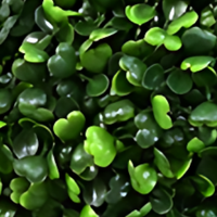 Grand Bonsaï Artificiel d'Intérieur en Plastique Arbres à Fleurs Design Vert Maison Noël Graduation Nouvel An Options de Vente en Gros