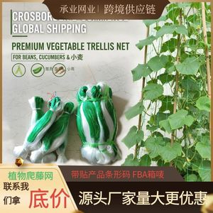 Filet de treillis double face en plastique vert Chengye pour plantes grimpantes : concombres, haricots, courges, loofahs, fruits de la passion, légumes - Product Image 3