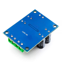 Module amplificateur audio numérique XH-M311 Mini Edition TPA3118, monocanal 60W
