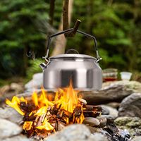 Bouilloire de camping légère en acier inoxydable 1,0 L pour randonnée, pique-nique, feu de camp, eau, café, thé