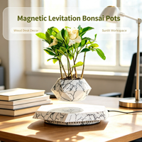 Macetas de Bonsái Flotantes de Levitación Magnética, Macetas Giratorias con Flores Preservadas, Regalo Creativo y Personalizado
