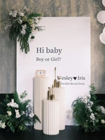Décorations de fête de révélation du sexe par impression numérique moderne, toile de fond personnalisée en panneau KT pour bébé garçon ou fille, arrière-plan photo pour baby shower