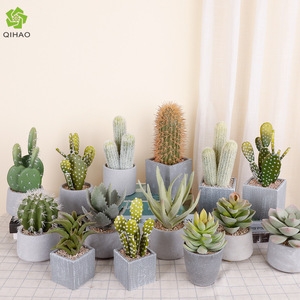 Artificial Cactus Potted Plant High Simulation Indoor Decor 24cm Succulent Bonsai Desktop Ornament - Product Image 5