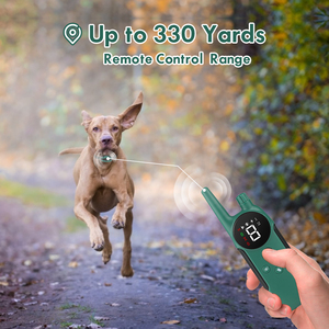 <span class=keywords><strong>Collar</strong></span> de choque recargable para entrenamiento de mascotas, accesorio de entrenamiento de perros con Control remoto, resistente al agua - Product Image 5