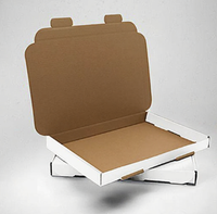 Boîte postale à fentes pour lettres grand format AKAR White C5/A5 - Carton - Compatible Royal Mail Pip Box [Lot de 50]