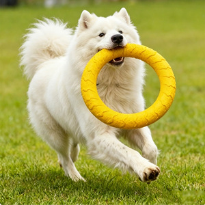 Training Pull Ring Dog Toy Bite Resistant For Medium Large Breeds Pet Chew Toys - Product Image 1