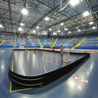 Terrain de Floorball en PP Durable de Haute Qualité avec Services de Découpe et de Moulage, Taille Personnalisable pour Utilisation Intérieure/Extérieure, Écoles, Salles de Sport