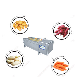 Máquina Eléctrica para Limpiar Frutas y Verduras con Componente Central de Motor - Product Image 5