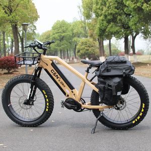 New Style Dual Battery Ebike Mid Drive 48V 1000W Belt Drive Electric Fat Bike Bicycle - Product Image 4