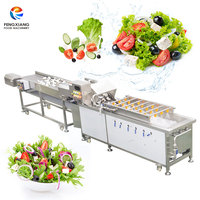 Ligne de lavage personnalisable pour fruits et légumes, 0,5-3 tonnes/h, solution de nettoyage entièrement automatique pour usine de transformation alimentaire