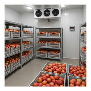 Solution de congélateur mobile haute performance et de chambre froide pour usage commercial - Product Image 1