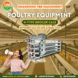 A Type H Type Automatic Battery Broiler Chicken Cage Pullet Chicken Coop House