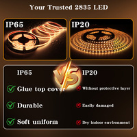 Bande LED flexible en silicone intégral 24V 12V 10mm 2835 80RA+ IP67 pour intérieur/extérieur Blanc 3000K 4000K 6000K 5m Ruban LED
