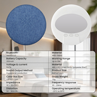 Haut-parleur d'oreiller 2026 Hot Sleep pour V5.3, mini haut-parleur sans fil fin à placer sous l'oreiller avec réglage de la durée de lecture programmée