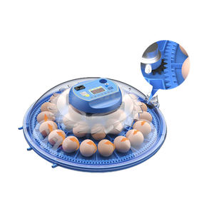 Incubateur <span class=keywords><strong>d</strong></span>'oeufs de poule/mini incubateur/incubateur fabricants <span class=keywords><strong>d</strong></span>'oeufs fabriqués <span class=keywords><strong>en</strong></span> Chine avec <span class=keywords><strong>un</strong></span> bon <span class=keywords><strong>prix</strong></span> - Product Image 2