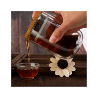 Service à thé de voyage écologique en verre borosilicate double haute qualité, 500 ml, avec théière et quatre tasses, style Kung Fu chinois, portable