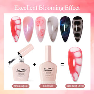 IMTITI Nail Art <span class=keywords><strong>Efecto</strong></span> degradado Colores universales Clear <span class=keywords><strong>Blooming</strong></span> <span class=keywords><strong>Gel</strong></span> Polish OEM/ODM Botella personalizada Proveedor de esmalte de <span class=keywords><strong>gel</strong></span> para uñas - Product Image 3