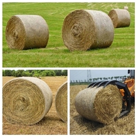 Red de envoltura de plástico HDPE 100% de alta calidad para agricultura y agricultura
