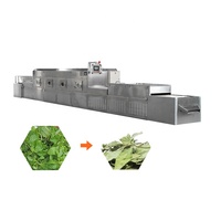 Efficiënte Droger Fruitmachine Industrie Riem Magnetron Droger Fruit En Groente Droger
