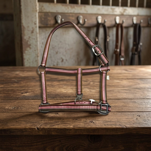 BLUHORSE BH-950 Halter équestre bicolore en nylon, quincaillerie en fer chromé robuste, meilleur prix de gros pour l'accessoires équestres - Product Image 3