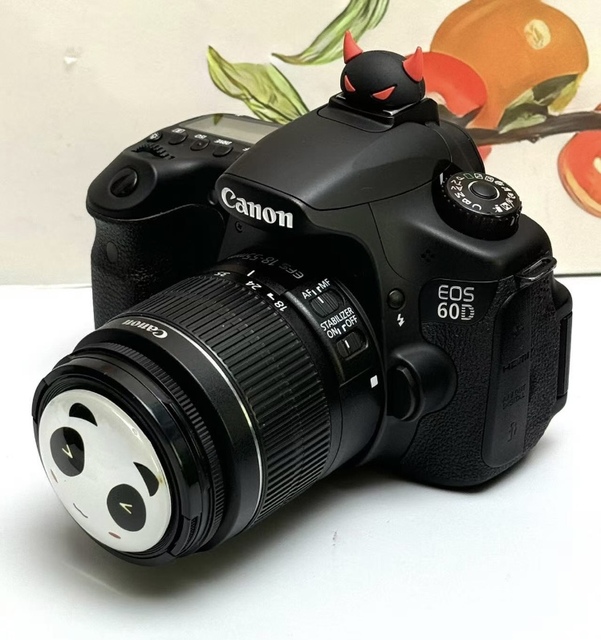 Wholesale Price Used for 60D DSLR Camera with 18-55mm Lens Full HD Video CMOS Sensor 2"-3" Screen