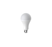Vente en gros à prix d'usine compétitif DC12V 2W 4W 5W A60 led ampoule solaire E27/B22 base