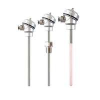 Hank High Precision 0.5%FS Accuracy Stainless Steel Probe K Type Thermocouple PT100 IP55 Waterproof RTD Junction Temperature