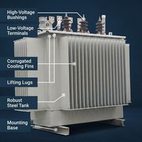 Transformateur de distribution immergé dans l'huile de cuivre Wanbo-233 10KV S11, triphasé, 315KVA, transformateur de puissance pour sous-station IEC