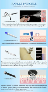 Appareil de peeling à jet d'oxygène 10 poignées, ultra-exfoliant réglable, stylo hydro-nourrissant pour la peau, resserrement des pores, filtration - Product Image 5