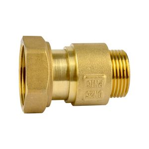Válvula de retención macho y hembra de 1 vía de latón con conexión roscada - Product Image 2