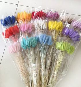 Vente en gros 50 pièces/bouquet d'herbe de queues de lapin <span class=keywords><strong>Lagurus</strong></span> ovatus séchée naturelle pour la décoration de la maison - Product Image 2